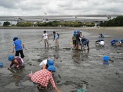 3年生お台場の海学習