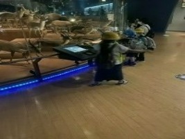 thumbnail_IMG_0797